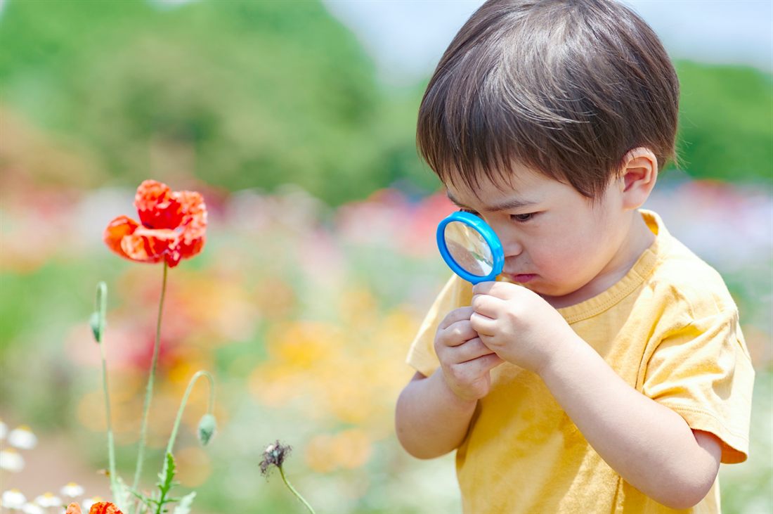 Un jeune enfant qui explore la nature